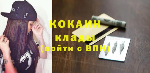 индика Кукмор