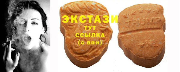 индика Кукмор