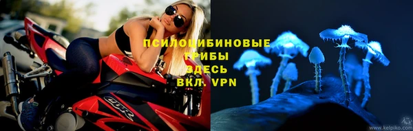 индика Кукмор