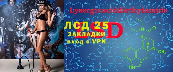 индика Кукмор