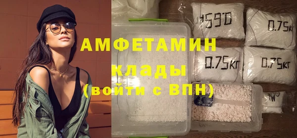 индика Кукмор