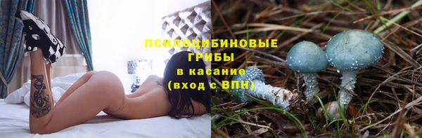 индика Кукмор