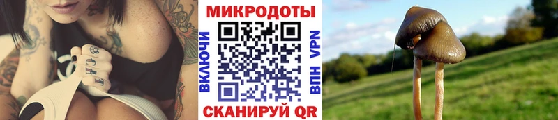Псилоцибиновые грибы Magic Shrooms  дарк нет как зайти  Северск 