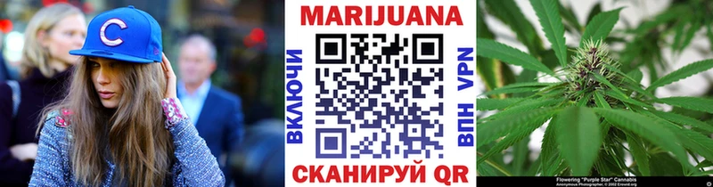 Каннабис план  гидра ТОР  Северск 